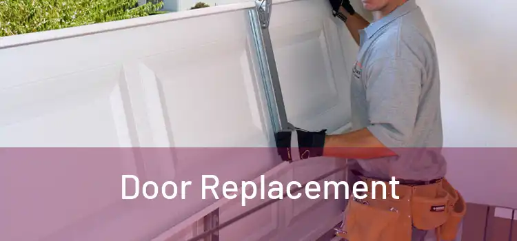  Door Replacement 